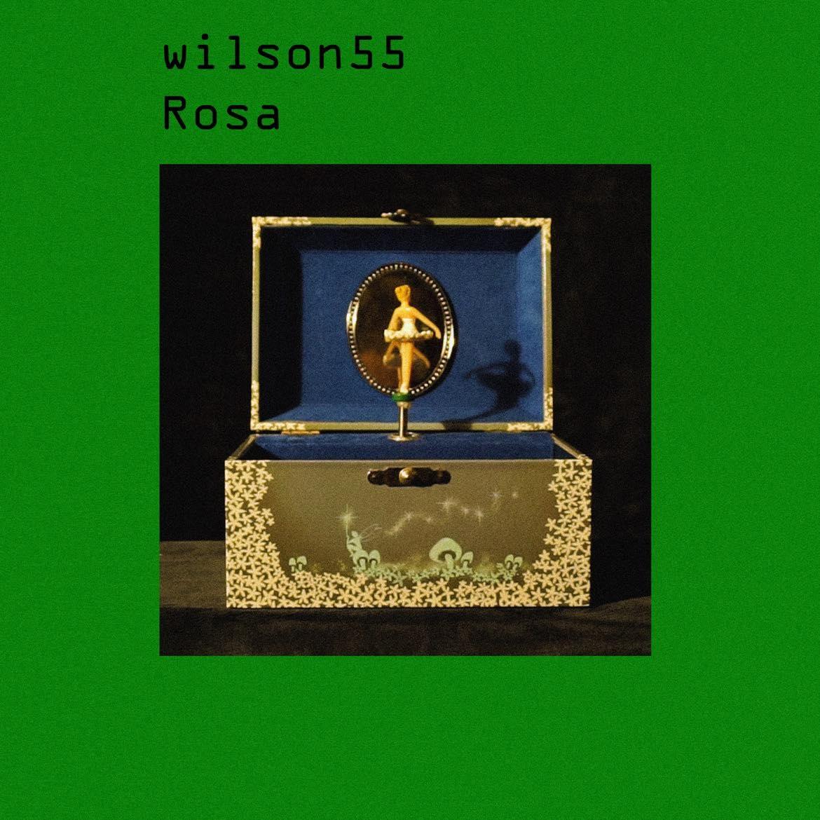 Single debut Wilson55 – “Rosa”